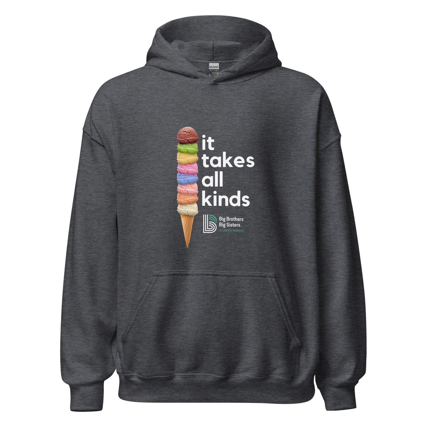 BBBS - It Take All Kinds Hoodie